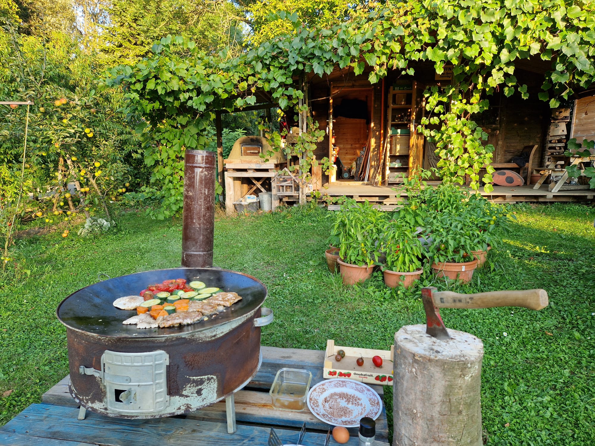 Garten 2 – Bienenbaum